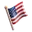 Flag of the USA